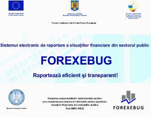 ForExeBug: Ghid complet de utilizare pentru Institutiile Publice